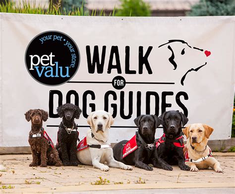 lions walk for dog guides